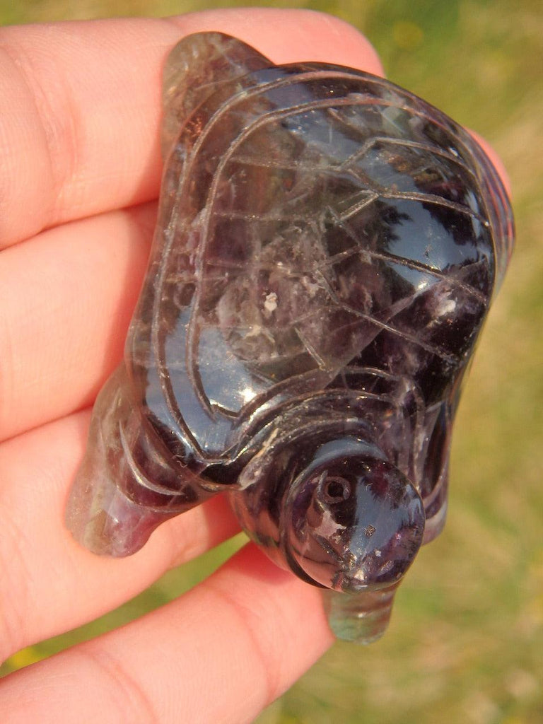 Fabulous Purple & Green Fluorite Turtle Carving 3 - Earth Family Crystals