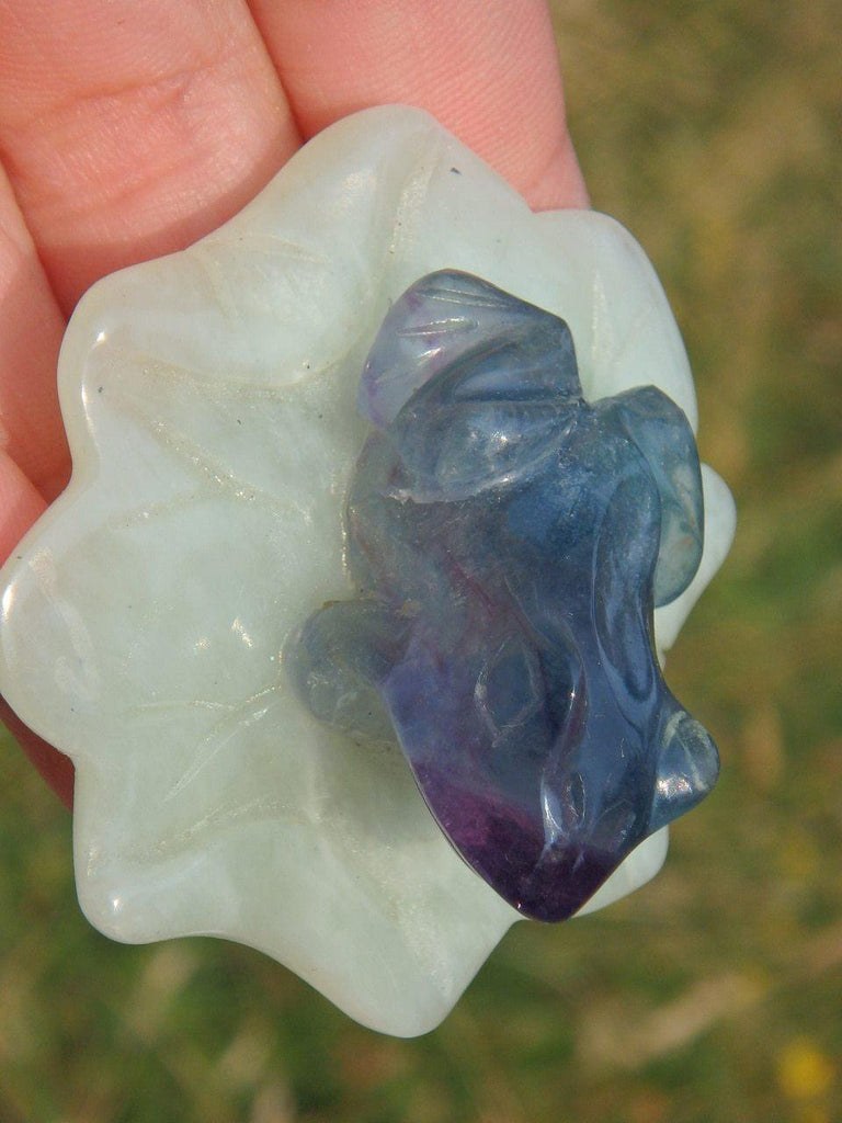 Adorable Fluorite Frog on Green Jade Lily Pad Display Specimen 4 - Earth Family Crystals