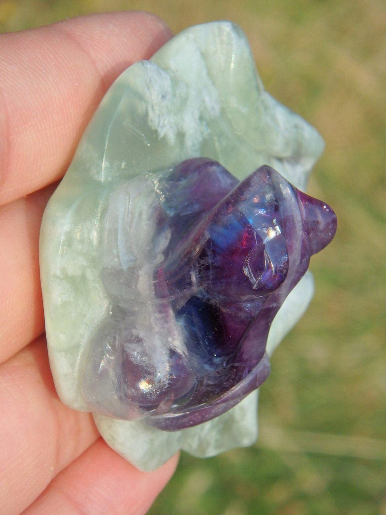 Adorable Fluorite Frog on Green Jade Lily Pad Display Specimen 3 - Earth Family Crystals