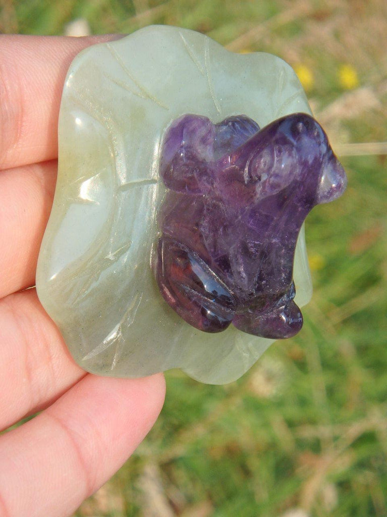 Adorable Fluorite Frog on Green Jade Lily Pad Display Specimen 1 - Earth Family Crystals