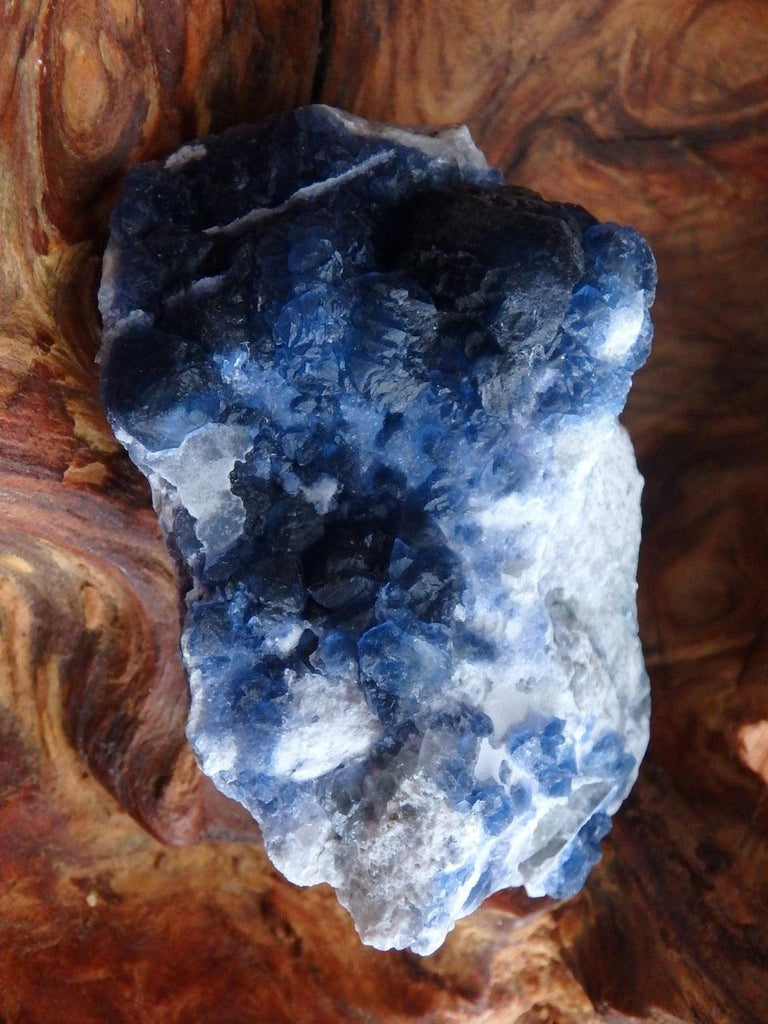 Rare Electric Blue Fluorite on Quartz Matrix - Earth Family Crystals