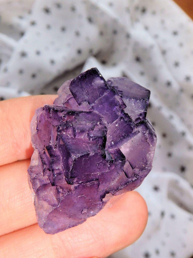 3D Contrast Midnight Purple Fluorite Cluster From Mexico - Earth Family Crystals