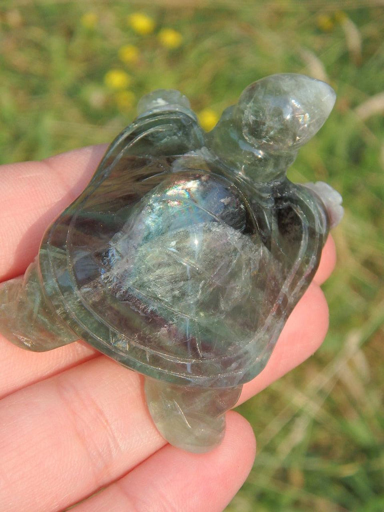 Fabulous Purple & Green Fluorite Turtle Carving 1 - Earth Family Crystals