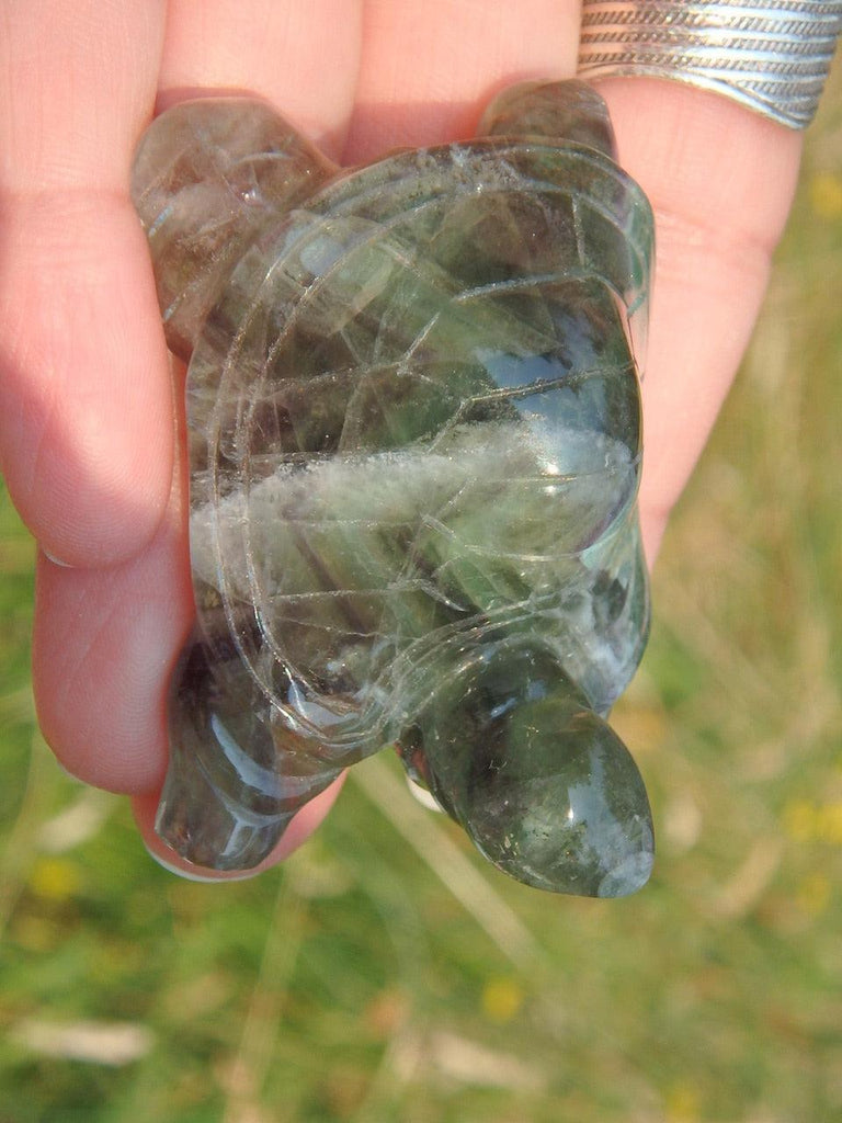 Fabulous Purple & Green Fluorite Turtle Carving 2 - Earth Family Crystals