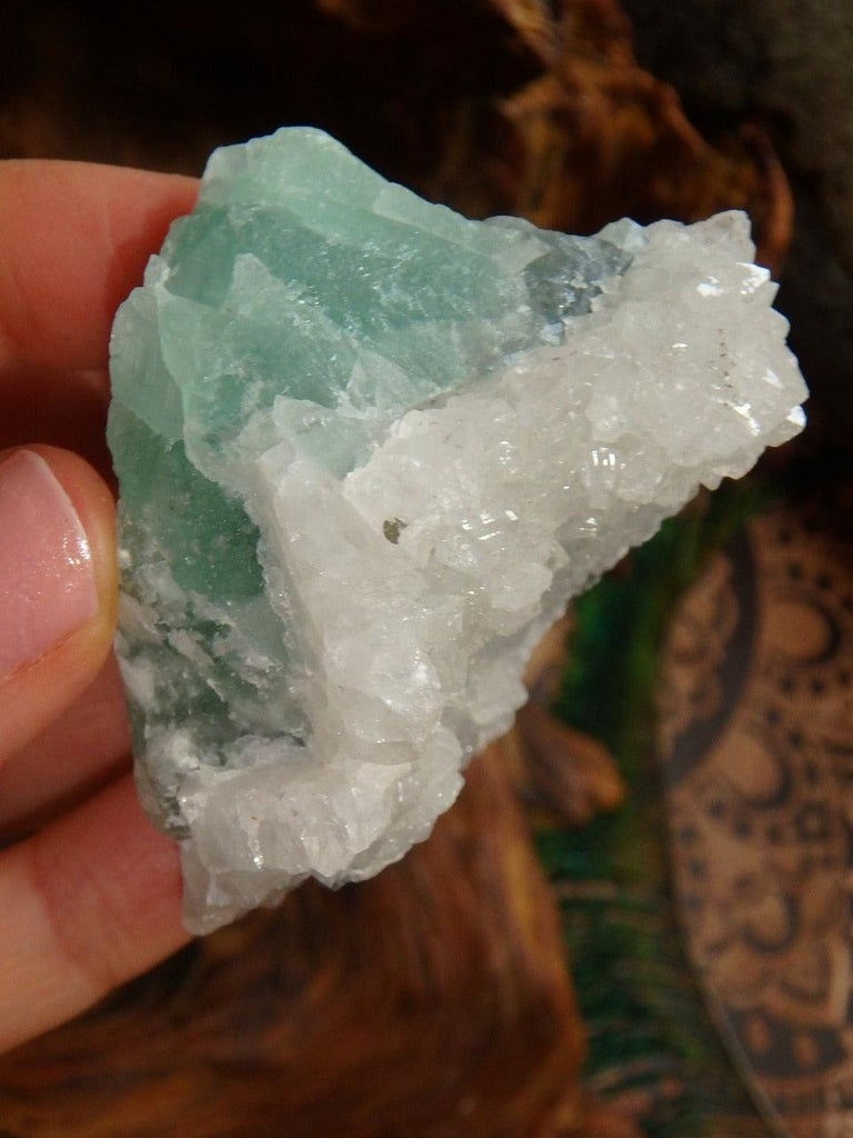 Gorgeous Druzy Quartz Capped Green Fluorite Specimen - Earth Family Crystals