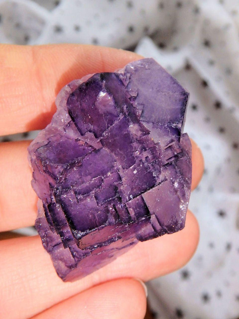 3D Contrast Midnight Purple Fluorite Cluster From Mexico - Earth Family Crystals