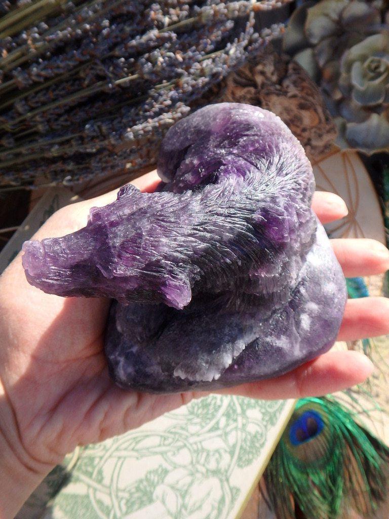 Amazing XL Fluorite Bear Carving - Earth Family Crystals