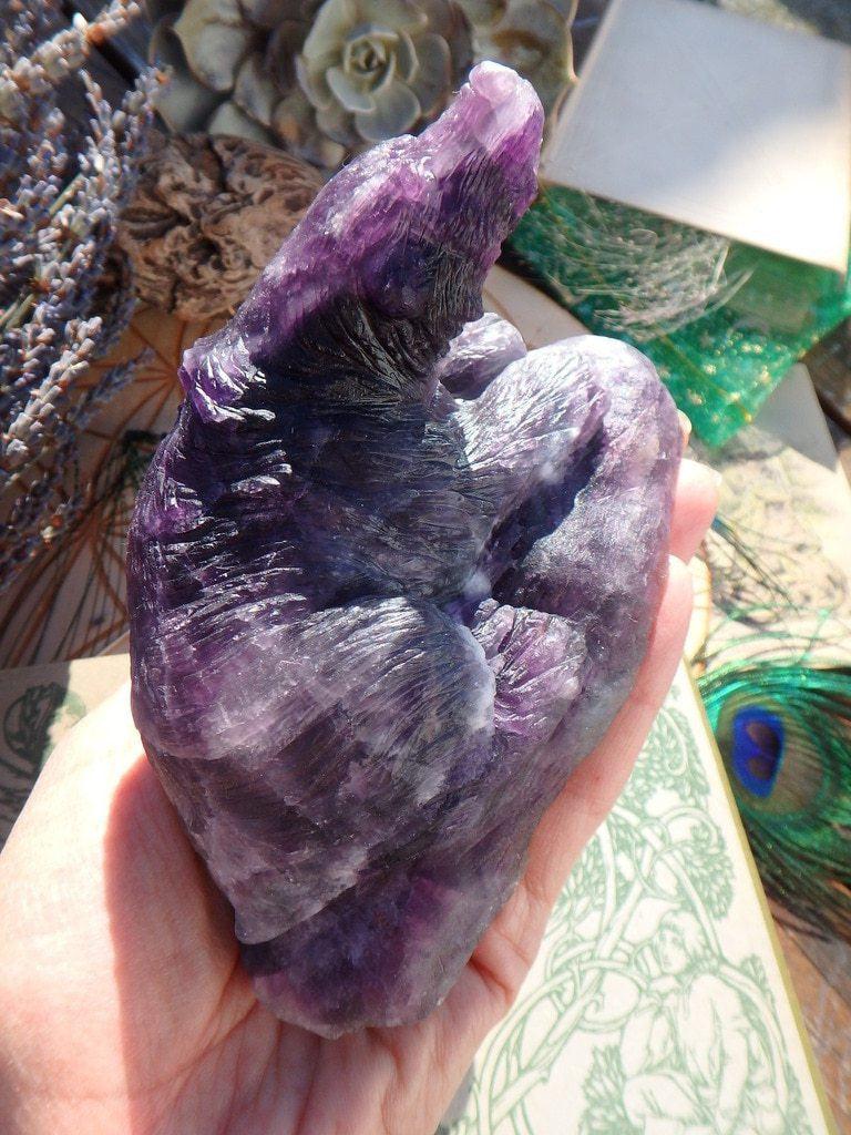 Amazing XL Fluorite Bear Carving - Earth Family Crystals