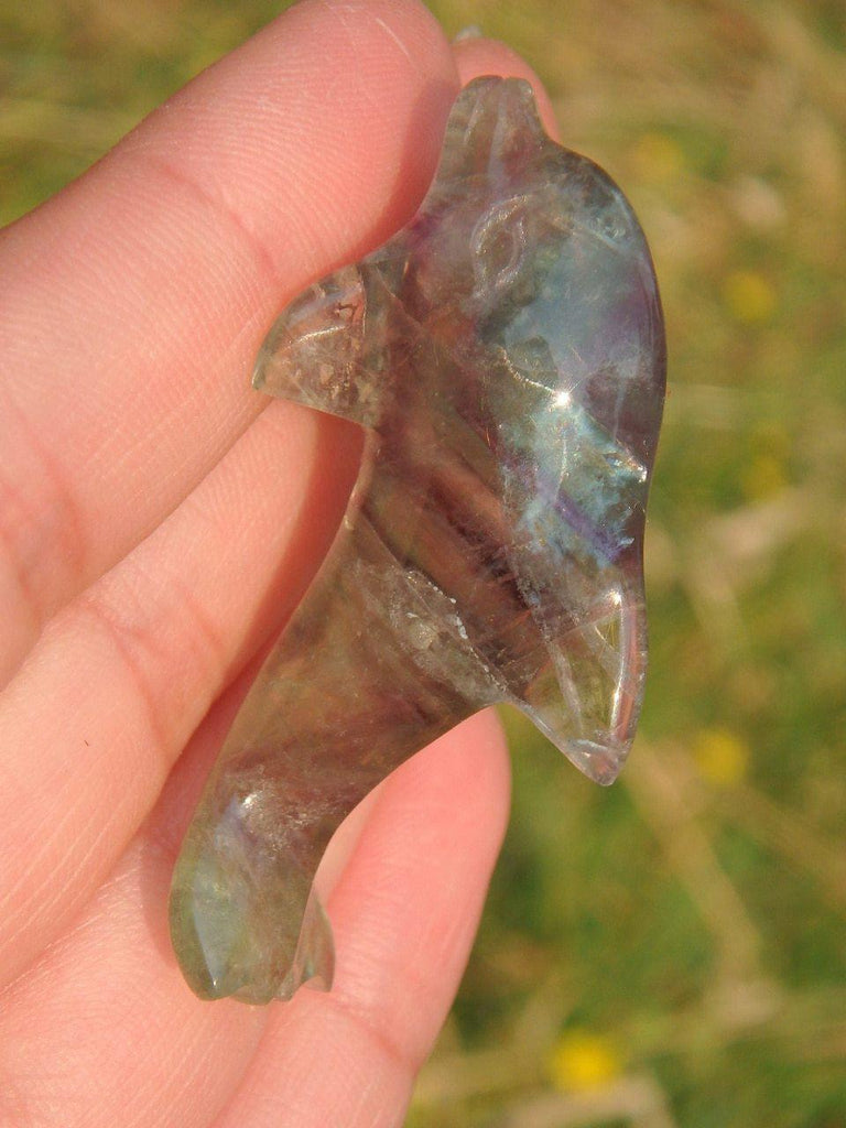 Adorable Fluorite Dolphin Specimen 4 - Earth Family Crystals