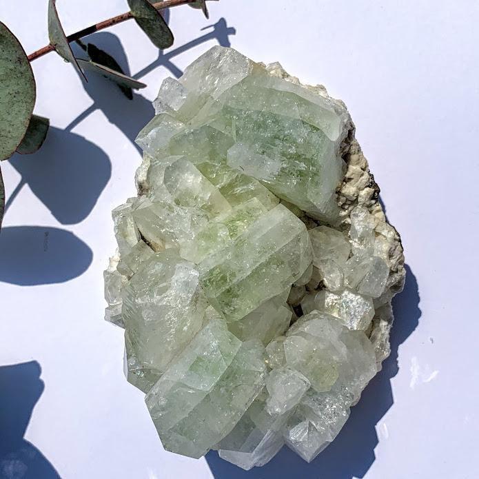 Chunky Green Apophyllite Crystals on Matrix From India - Earth Family Crystals
