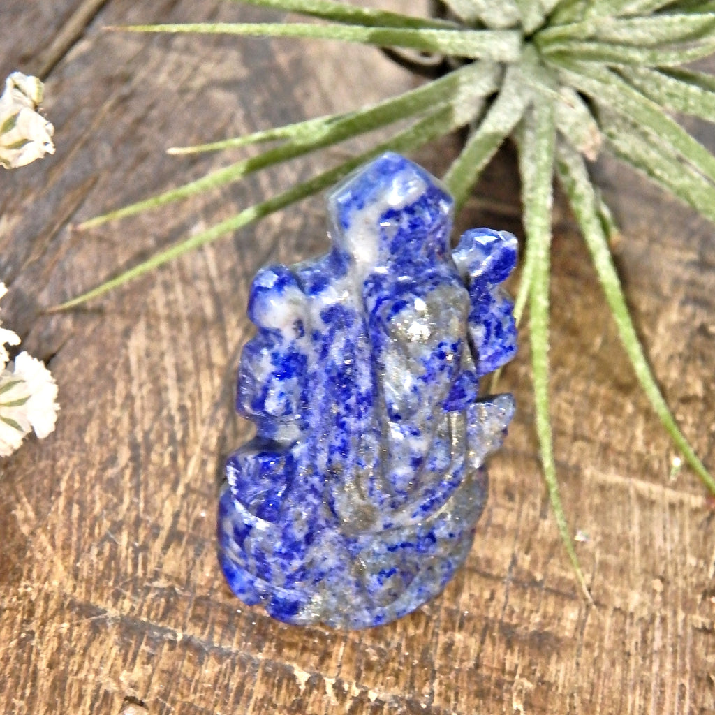 Lapis Lazuli Ganesha Dainty Carving- The Remover of Obstacles - Earth Family Crystals