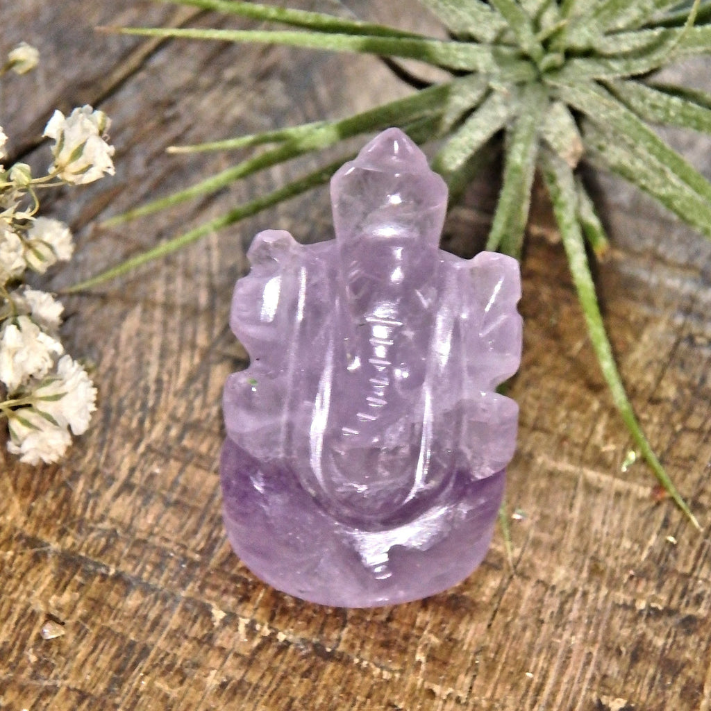 Adorable Lavender Amethyst Ganesha Dainty Carving- The Remover of Obstacles - Earth Family Crystals
