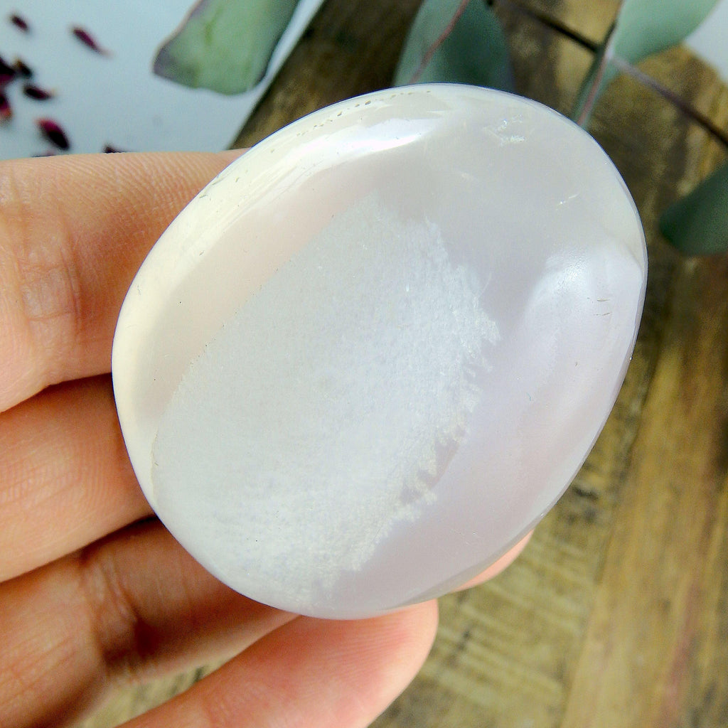 Smooth Frosted White Girasol Palm Stone #1 - Earth Family Crystals