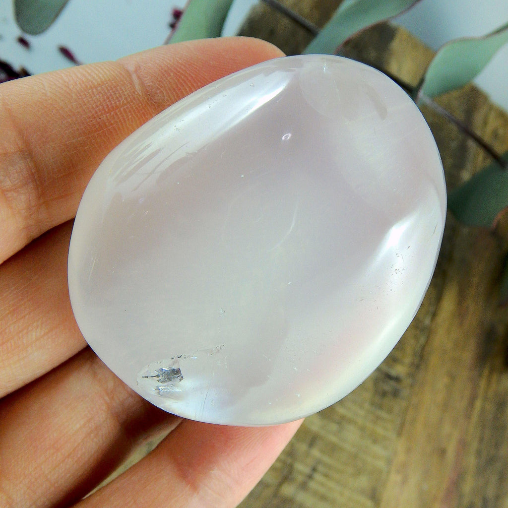 Smooth Frosted White Girasol Palm Stone #1 - Earth Family Crystals