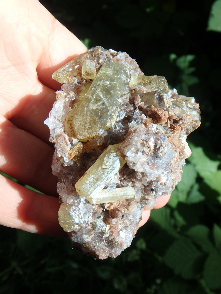 Stunning Large Point & Babies Golden Apatite Nestled in Quartz Druzy Matrix From Mexico - Earth Family Crystals