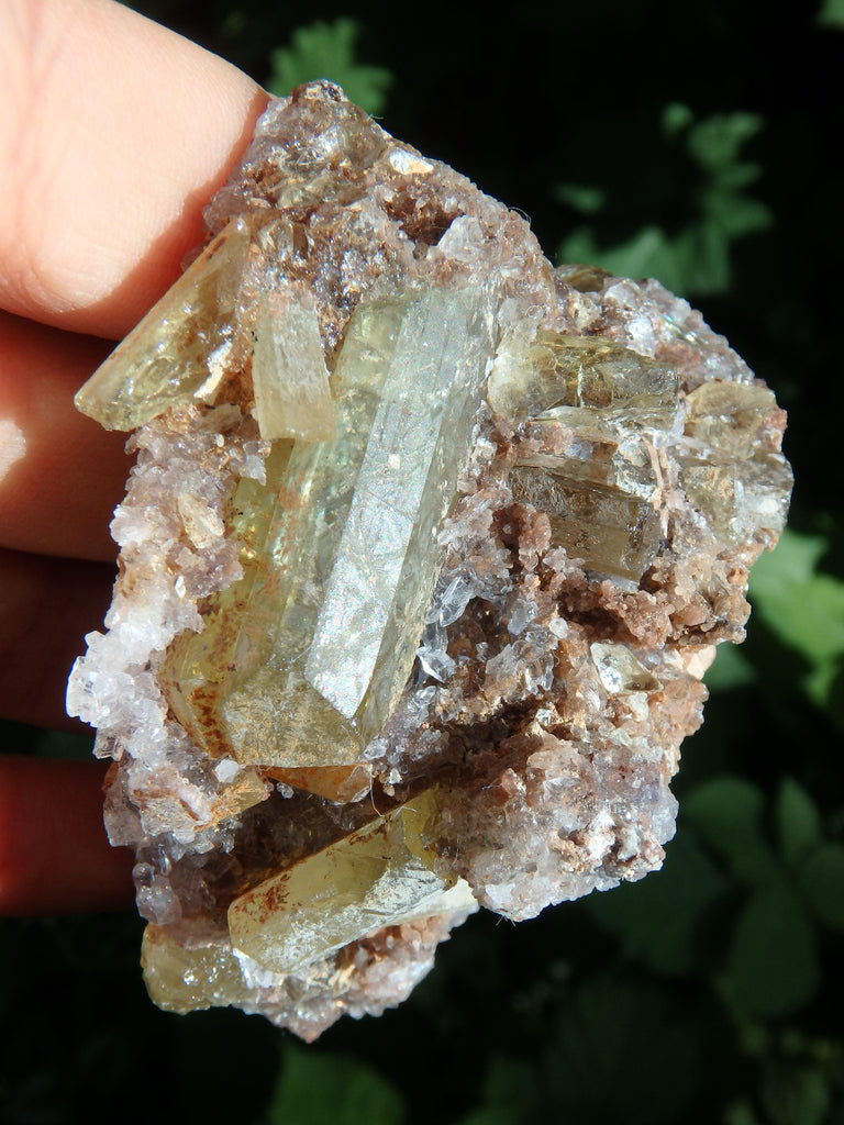 Stunning Large Point & Babies Golden Apatite Nestled in Quartz Druzy Matrix From Mexico - Earth Family Crystals