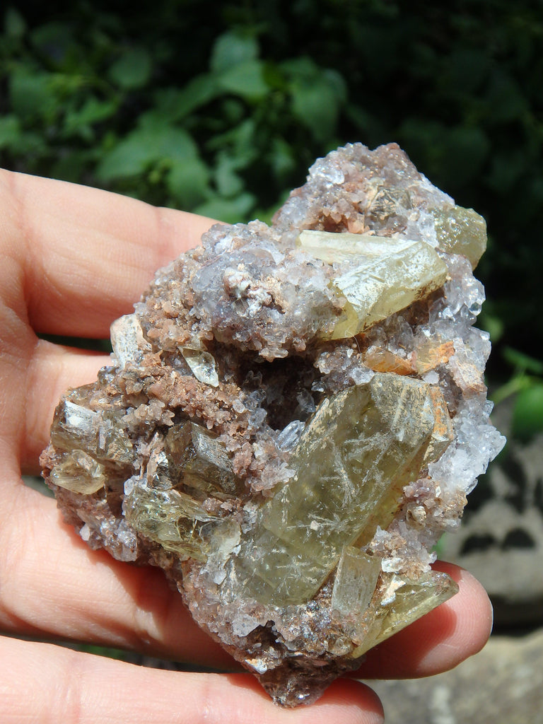 Stunning Large Point & Babies Golden Apatite Nestled in Quartz Druzy Matrix From Mexico - Earth Family Crystals