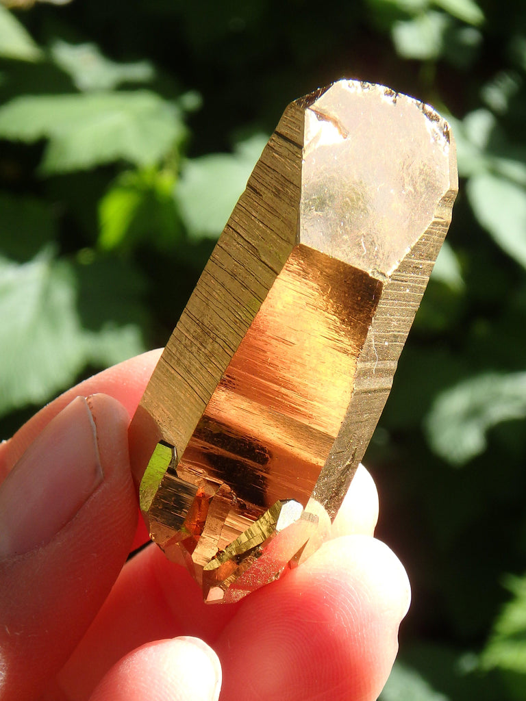 Majestic Mother & Babies DT Record Keeper Gold Aura Quartz Point - Earth Family Crystals