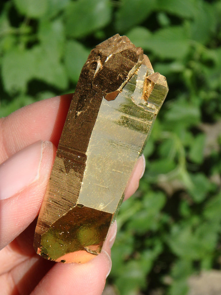 Majestic Mother & Babies DT Record Keeper Gold Aura Quartz Point - Earth Family Crystals