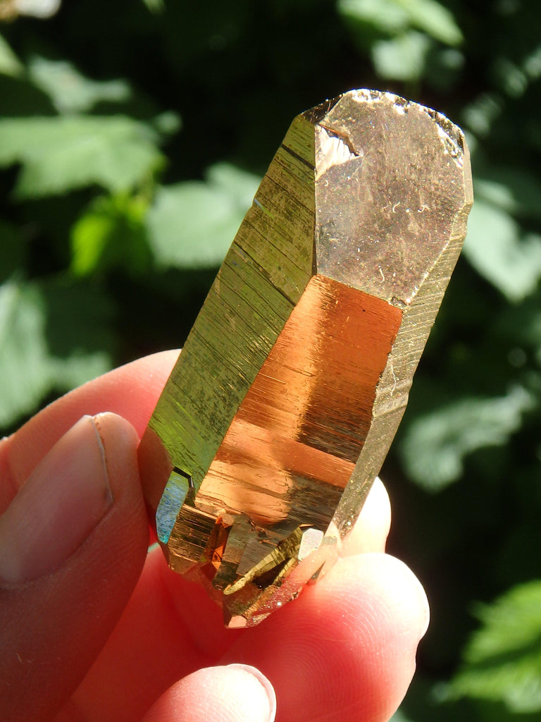 Majestic Mother & Babies DT Record Keeper Gold Aura Quartz Point - Earth Family Crystals