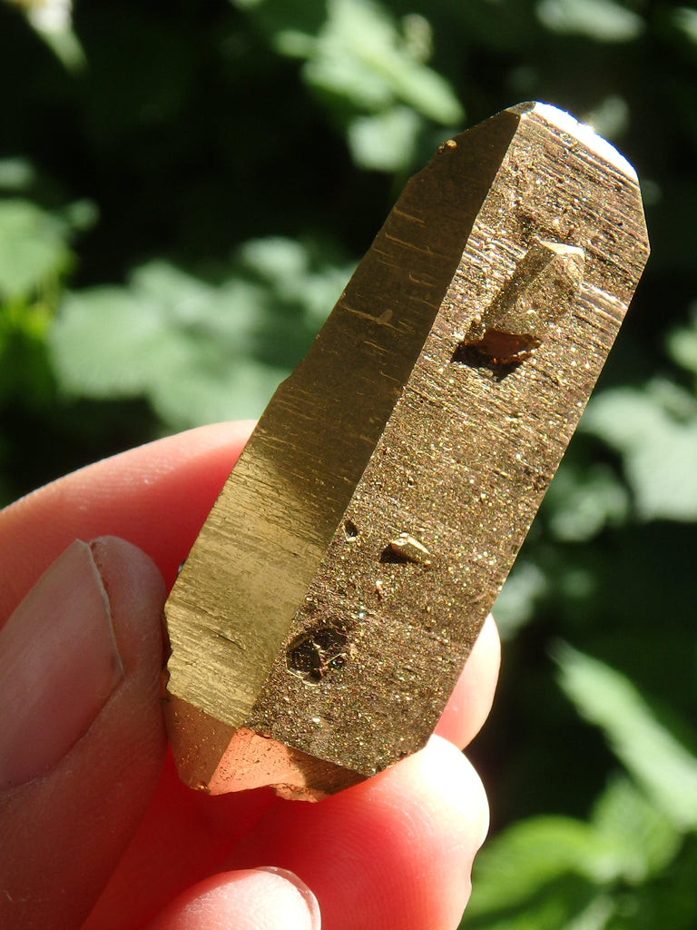 Majestic Mother & Babies DT Record Keeper Gold Aura Quartz Point - Earth Family Crystals