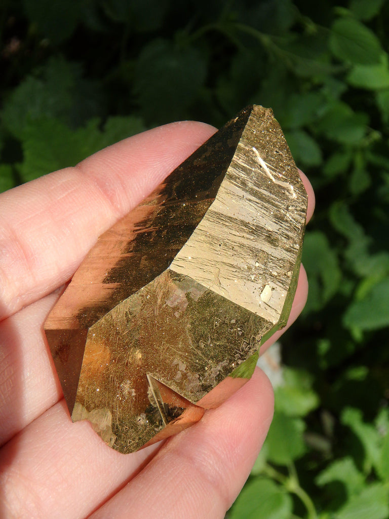 Incredible Sparkle DT Tabular Gold Aura Quartz Specimen With Record Keeepers - Earth Family Crystals