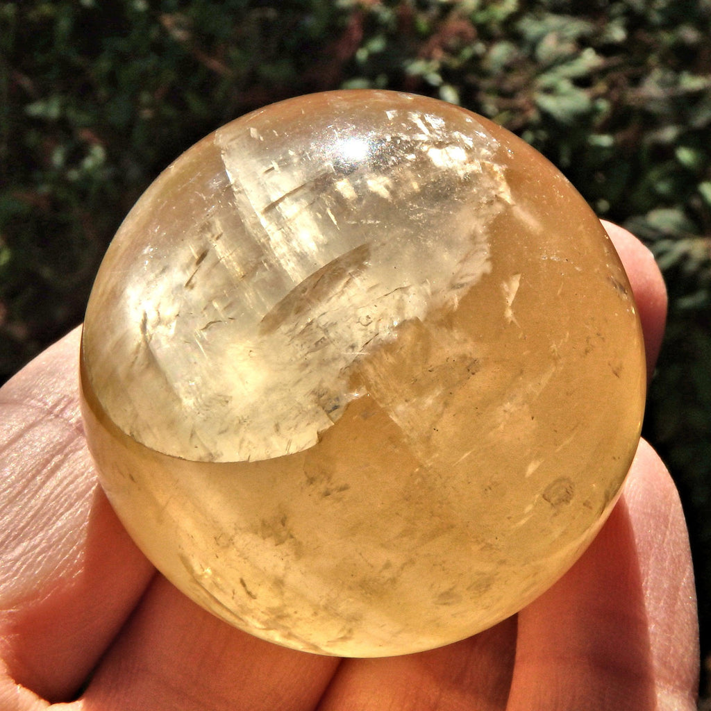 Sunny & Uplifting Golden Calcite Optical Sphere1 - Earth Family Crystals