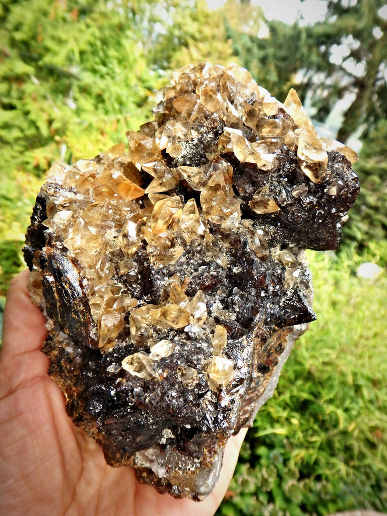 XL Extremely Impressive Elmwood Mine DT Shiny Golden Calcite Points Nestled on Ruby Sphalerite Matrix - Earth Family Crystals