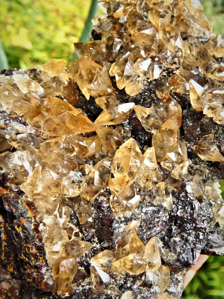 XL Extremely Impressive Elmwood Mine DT Shiny Golden Calcite Points Nestled on Ruby Sphalerite Matrix - Earth Family Crystals