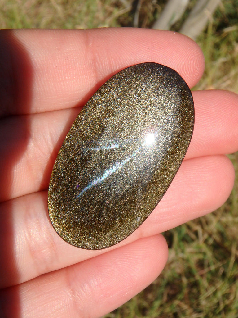 Fabulous Golden Sheen Obsidian Cabochon~Ideal for Jewellery Making 1 - Earth Family Crystals