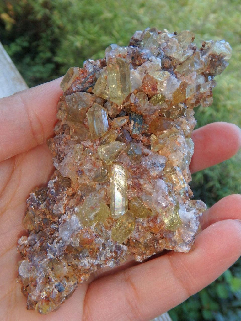 Shiny Golden Apatite Point Covered Cluster From Mexico - Earth Family Crystals