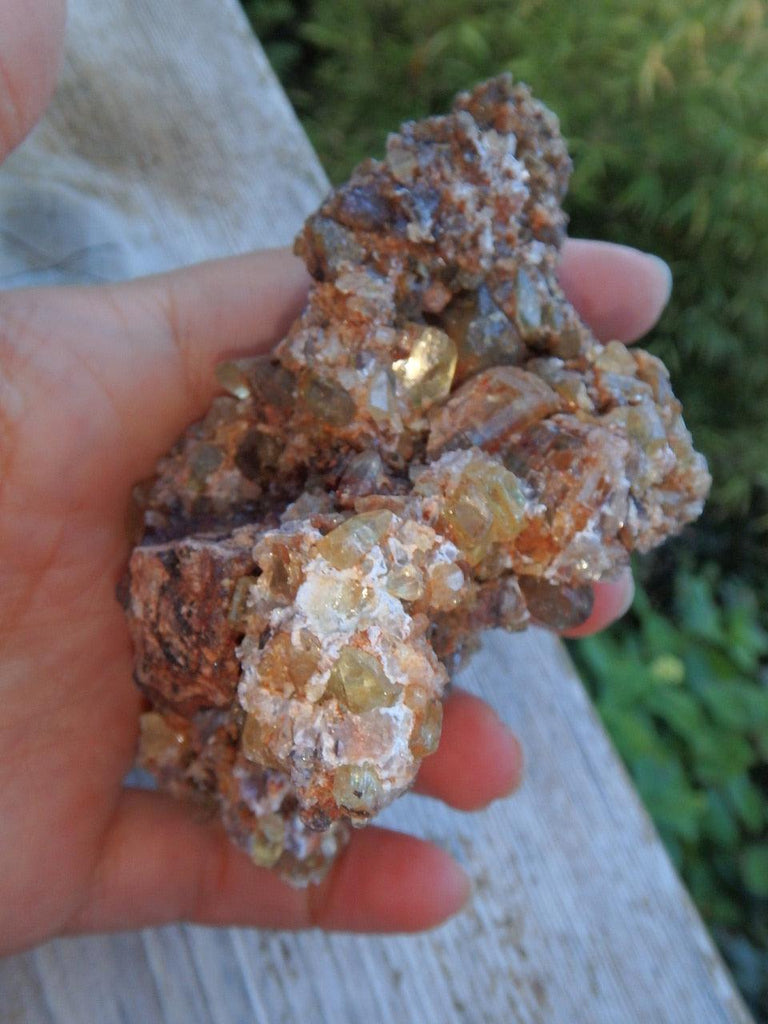 Shiny Golden Apatite Point Covered Cluster From Mexico - Earth Family Crystals