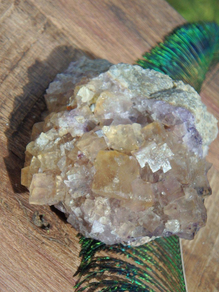 Cubic Golden Fluorite & Purple Cluster from Rossport, Ontario - Earth Family Crystals