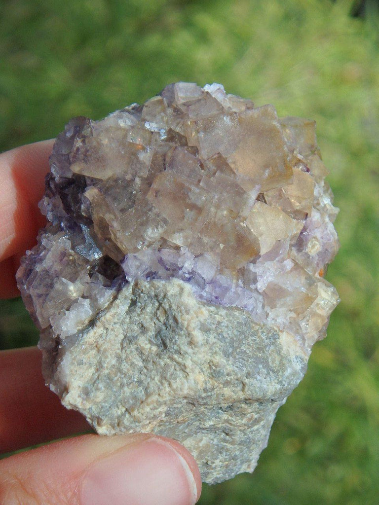 Cubic Golden Fluorite & Purple Cluster from Rossport, Ontario - Earth Family Crystals
