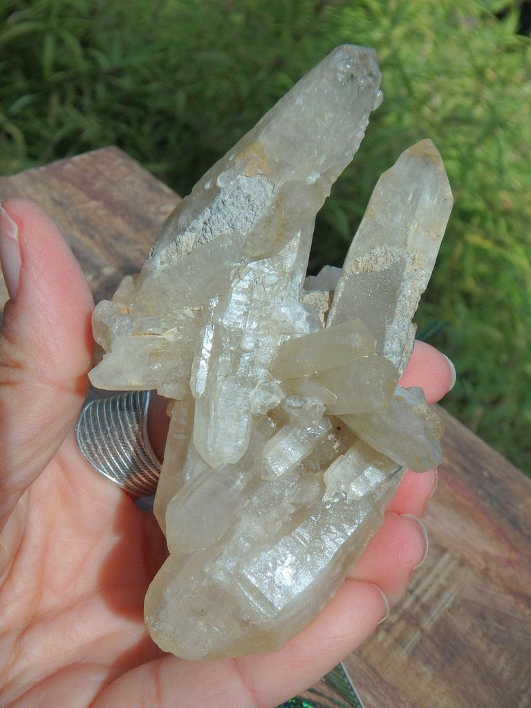 Golden Healer Quartz Cluster From Montana - Earth Family Crystals
