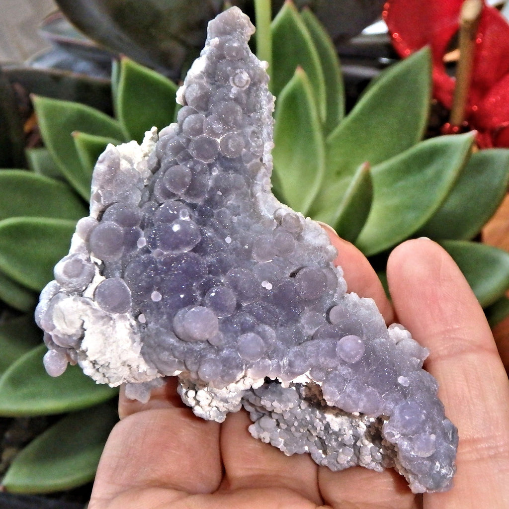 Deep Caves Frosty Purple & White Orbs Grape Agate From Indonesia - Earth Family Crystals