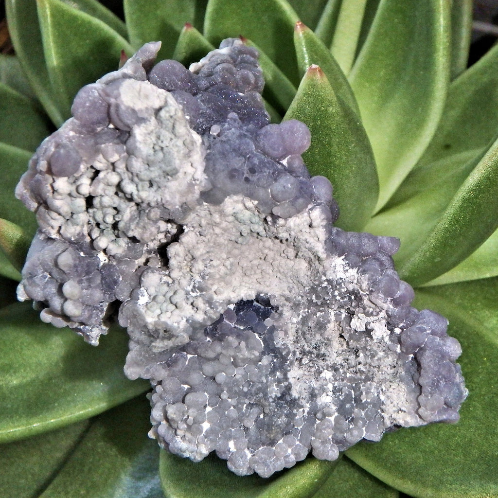Deep Caves Frosty Purple & White Orbs Grape Agate From Indonesia - Earth Family Crystals