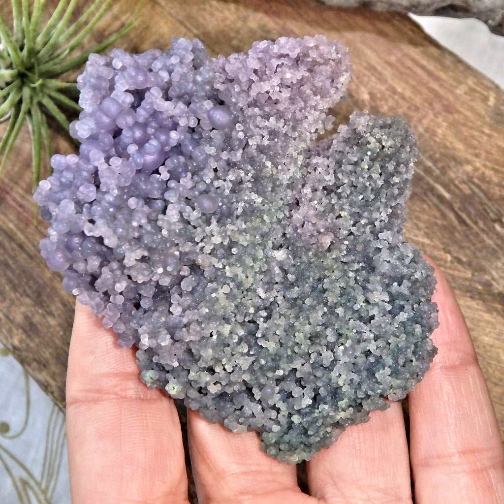 Fantastic Green & Purple Natural Grape Agate Specimen From Indonesia - Earth Family Crystals