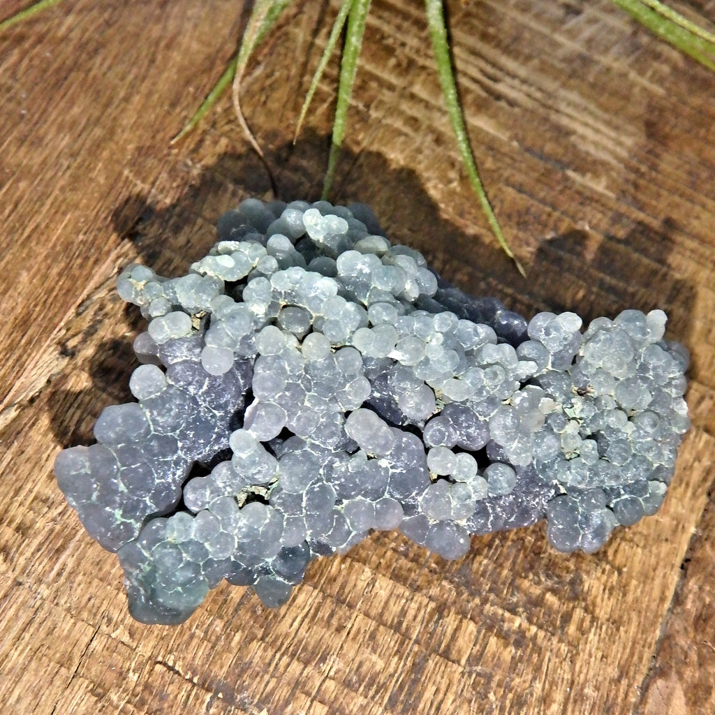 Silky Deep Green & Purple Natural Grape Agate Handheld Specimen From Indonesia - Earth Family Crystals