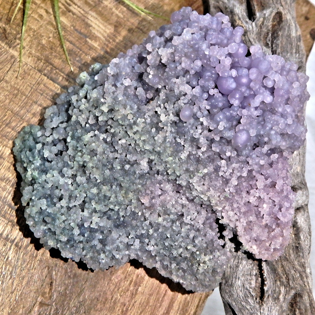 Fantastic Green & Purple Natural Grape Agate Specimen From Indonesia - Earth Family Crystals