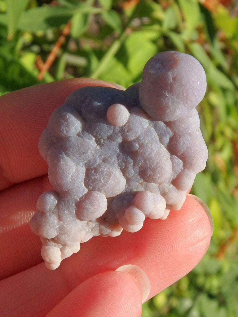 Adorable Botryoidal Pastel Purple Grape Agate Specimen - Earth Family Crystals