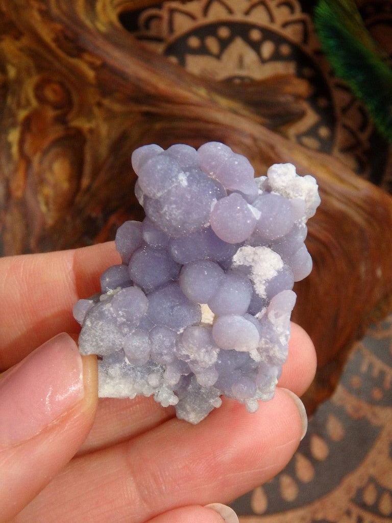 NEW FIND! Adorable Creamy Purple Grape Agate Specimen From Indonesia - Earth Family Crystals
