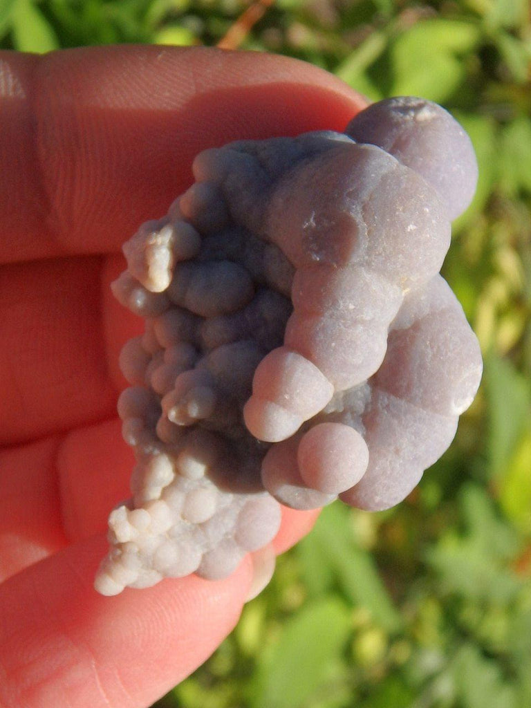 Adorable Botryoidal Pastel Purple Grape Agate Specimen - Earth Family Crystals