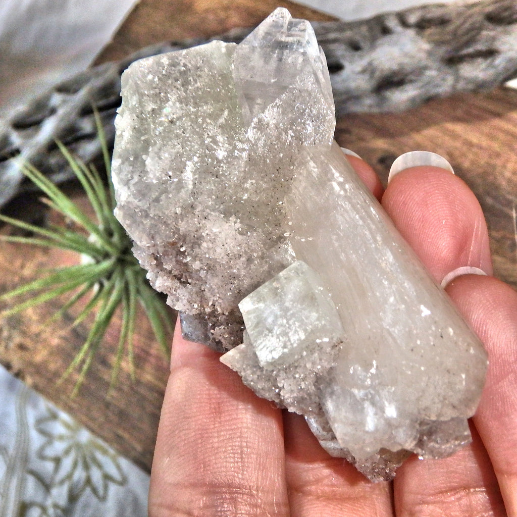 Fantastic Frosted Stilbite & Clear & Green Apophyllite Cluster - Earth Family Crystals