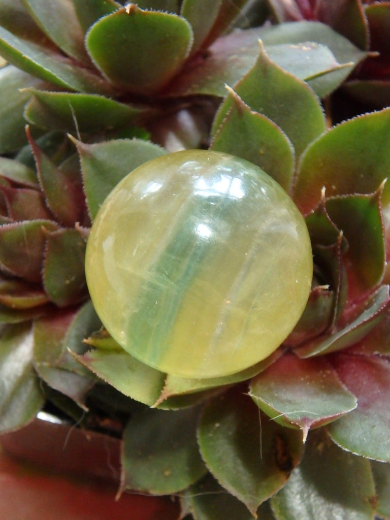 Vibrant Golden & Green Fluorite Small Sphere Carving 2 - Earth Family Crystals