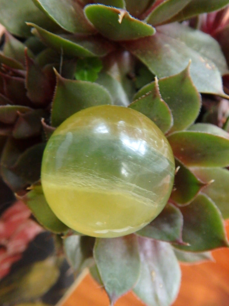 Vibrant Golden & Green Fluorite Small Sphere Carving 1 - Earth Family Crystals