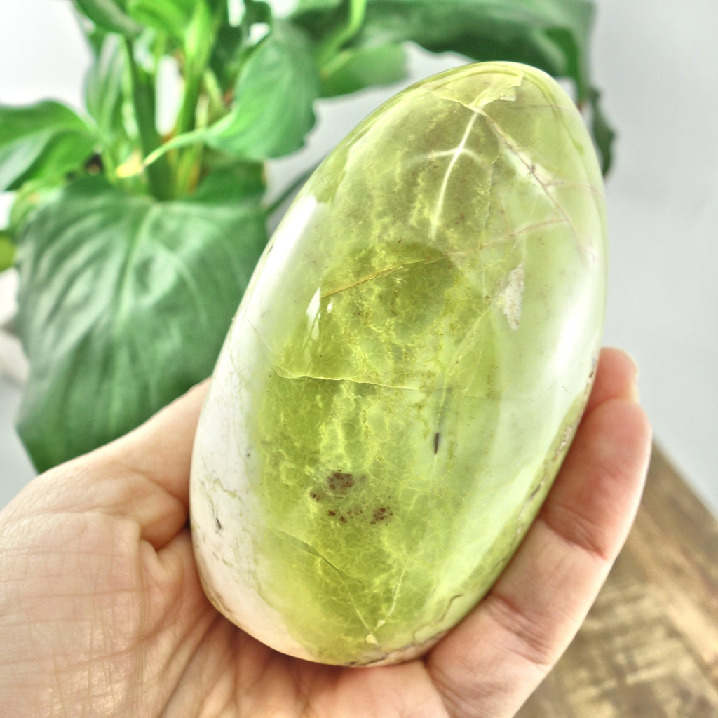 Electric Green Opal Standing Display Specimen - Earth Family Crystals