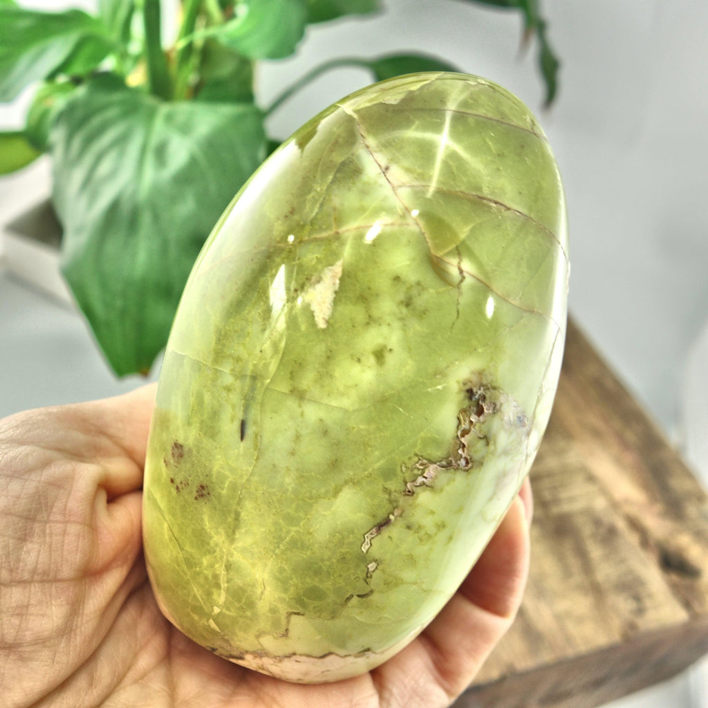Electric Green Opal Standing Display Specimen - Earth Family Crystals
