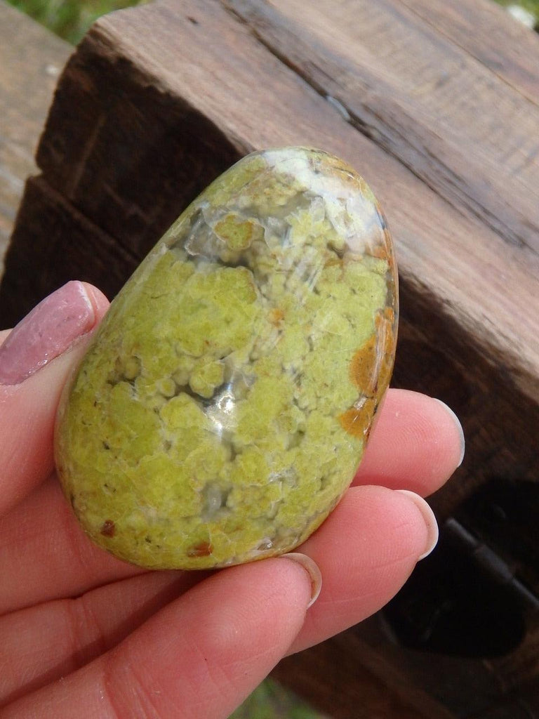 Vibrant Glossy Green Opal Palm Stone From Madagascar - Earth Family Crystals
