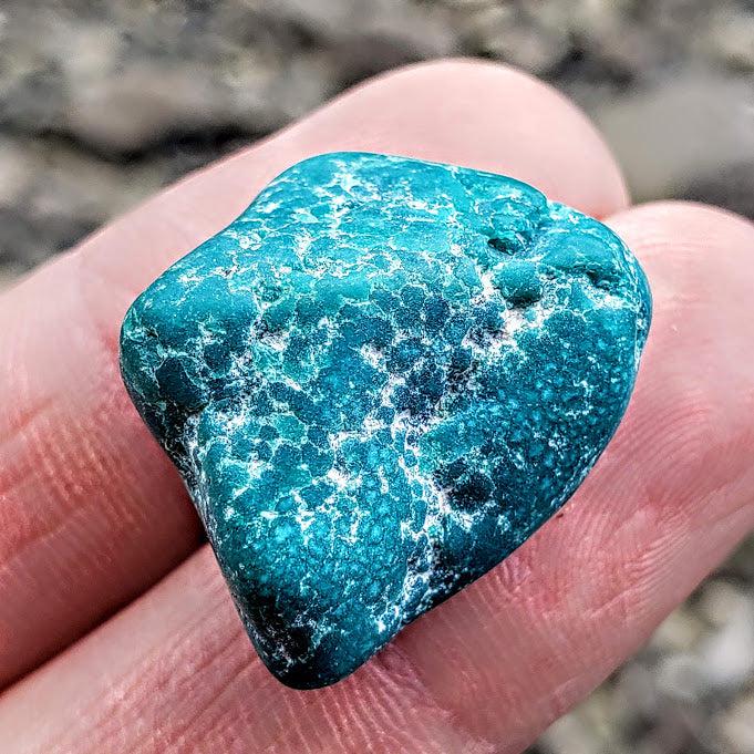 Rare Raw Vibrant Kingman Arizona Genuine Turquoise Specimen #1 - Earth Family Crystals